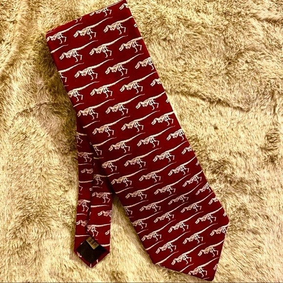 Dinosaur Skeleton Silk Tie - Picture 1 of 3